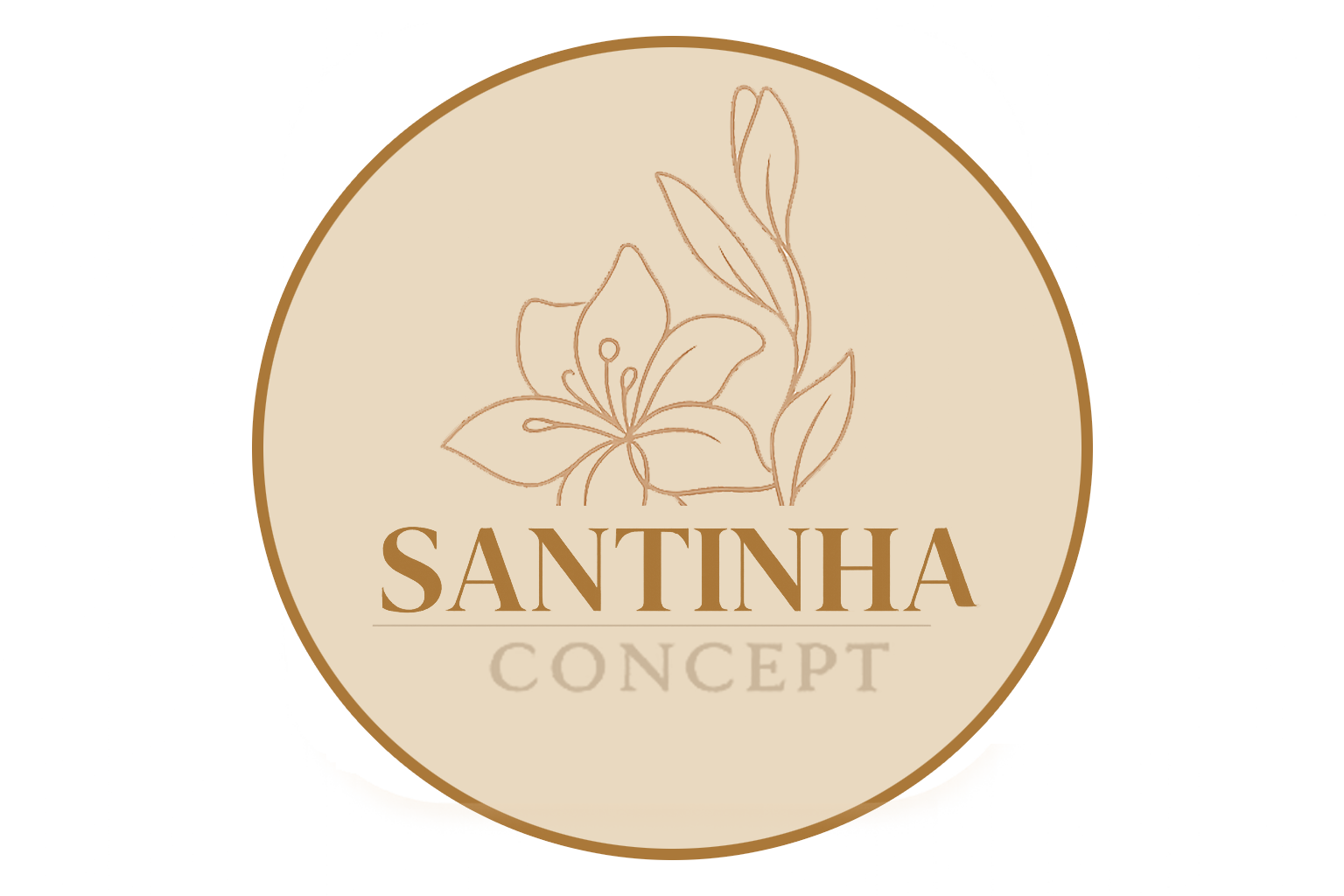 Santinha Concept